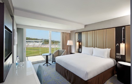 King Executive Room