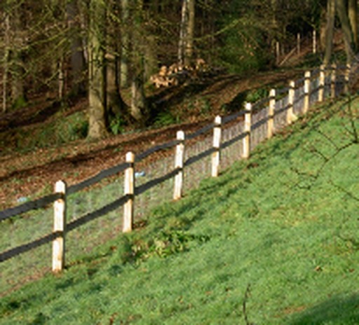 image0