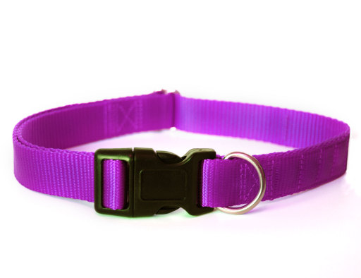 Canine Magnetix - Magnetic Dog Collar in Purple