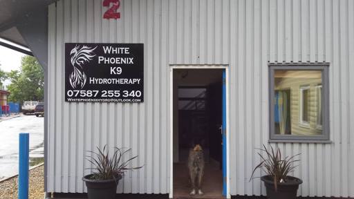 The Business Unit