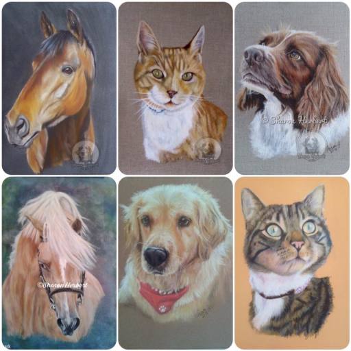 A collection of some of my work