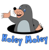 Holey Moley (Lincs)