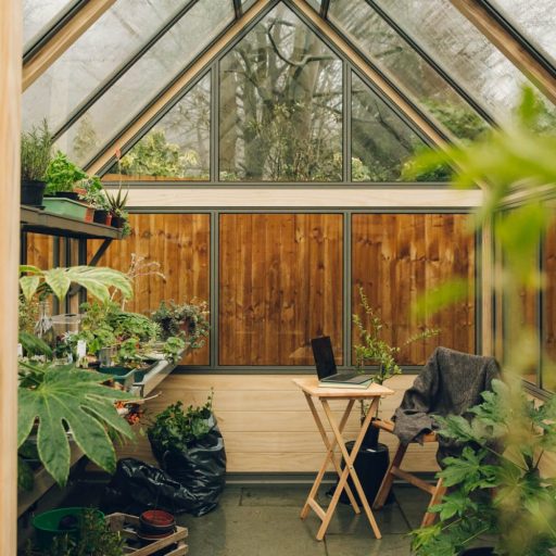 Inside a greenhouse