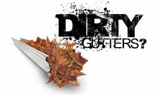 Gutter cleaning