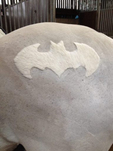 Batman Stencil only �5
