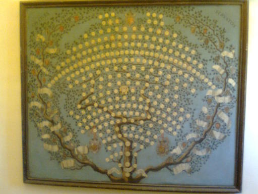 a family tree that starts in the 11th century