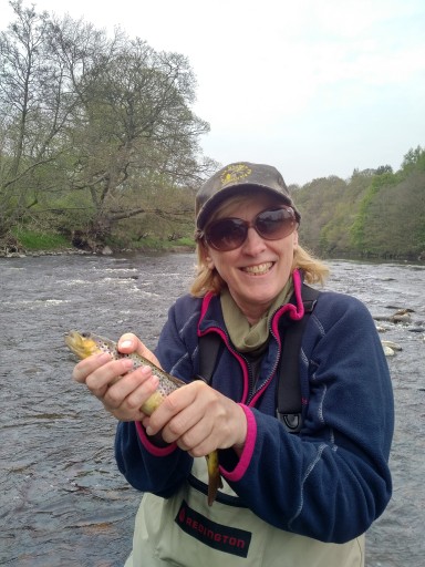 Fly Fishing River Tees