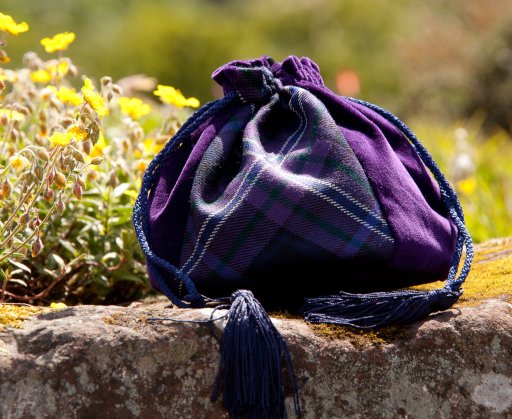 Pootch bag in Scotland Forever tartan and purple velvet.