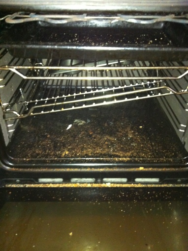 Oven Before