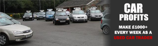 car profits