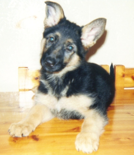 image0