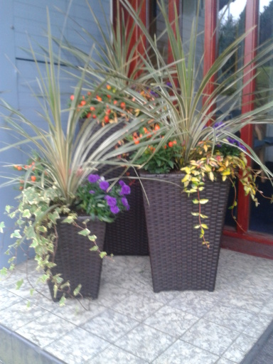 Give that corner come colour and interest with potted plants