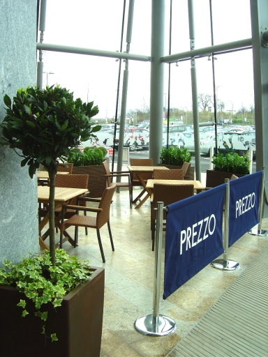 Office Plants for Shopping Centres
