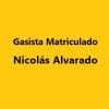 GASISTA MATRICULADO NICOLAS ALVARADO