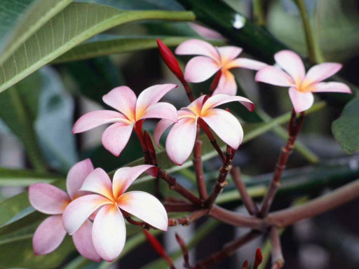 image0