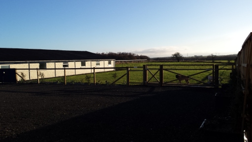 Norbreck Canine Centre
