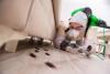 Pest Control Nollamara