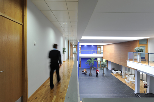 The atrium