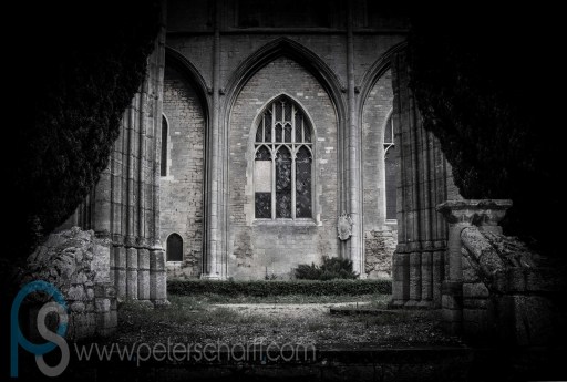 Fine Art - Landscape