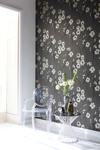 Feature Wall