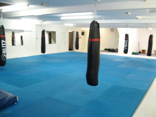Fully equipped martial arts and boxing gym
