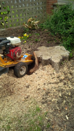 Stump removal