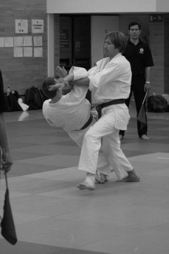 sport aikido