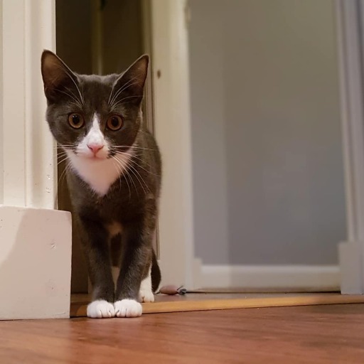 Rosie