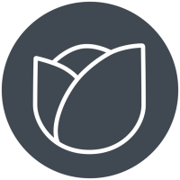 Hayley Rose Photography