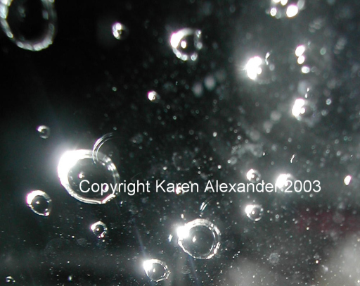 'Corona' Photograph by KAW