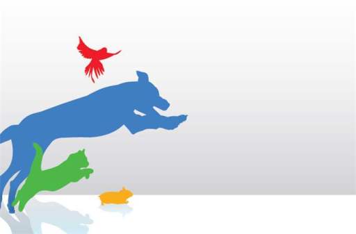 Pewsey-pet-care