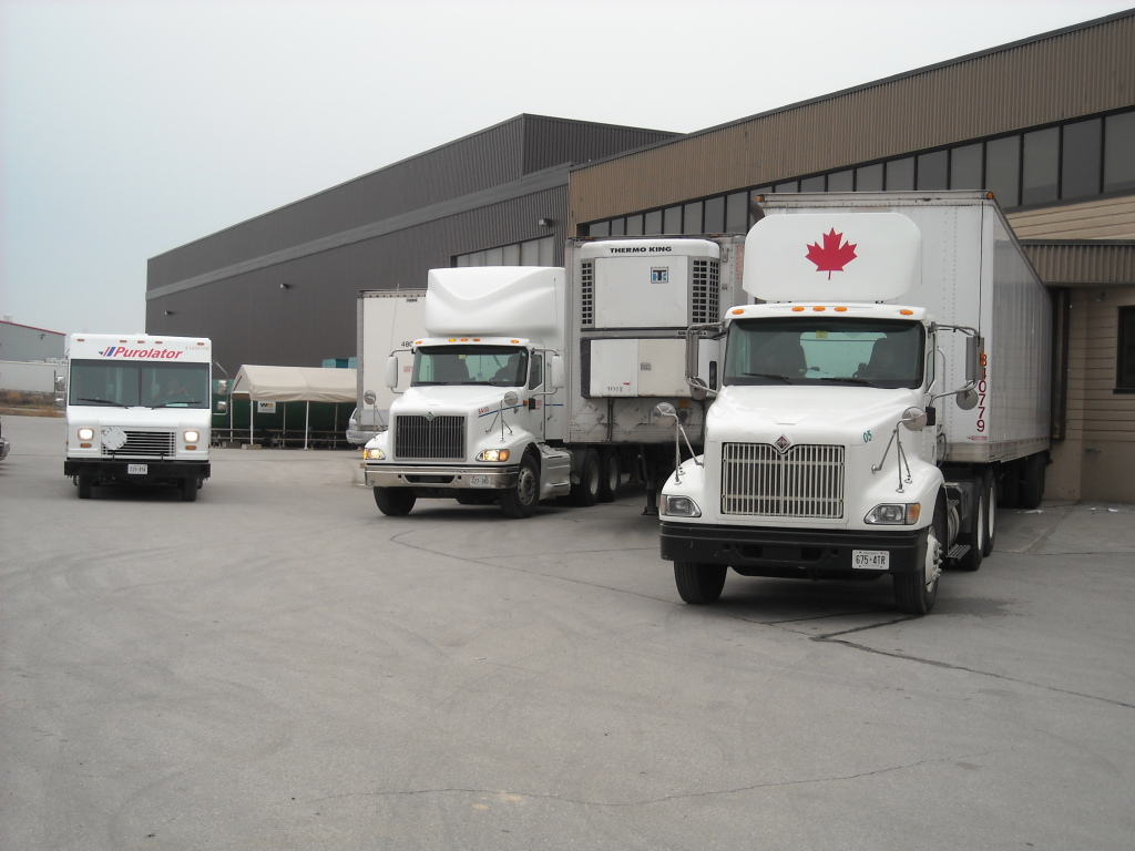 Terminal Warehouses 34 Armstrong Ave, L7G 4R9