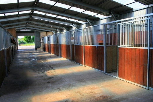 muirdrum livery yard