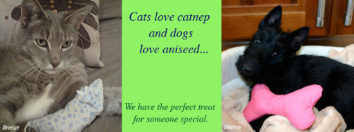 catnep &amp; aniseed toys for cats &amp; dogs