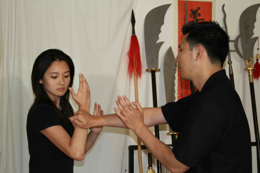 Bridge Hand Training