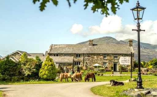 Tyddyn du Farm Luxury Suites