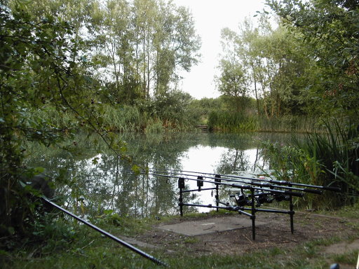 Lenton One