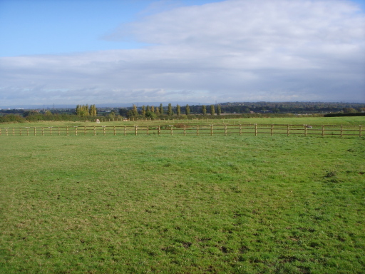 Burford Lane Grazing