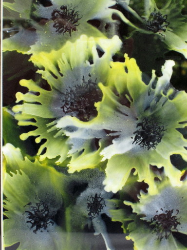 Bloom 2 (Encaustic wax painting by Phil Madley)