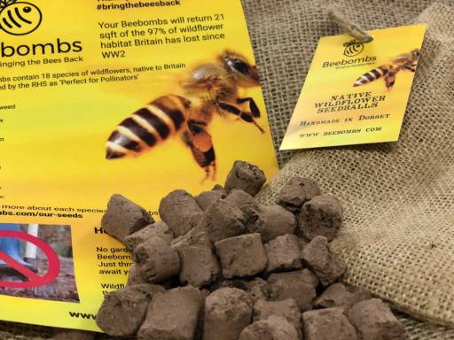 Dorset Beebombs wild flower seeds