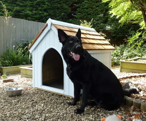 Traditional Dog Kennel.
