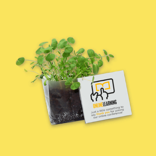 Promotional Desktop Plants