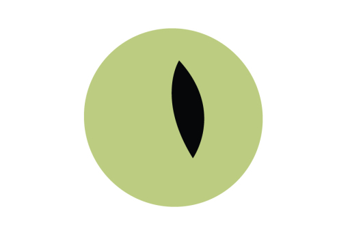 Snap ID Icon