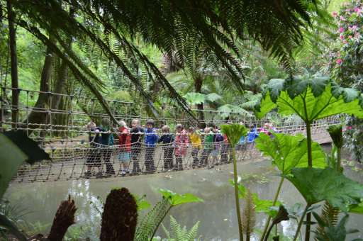 Rope bridge