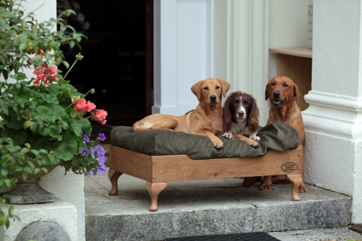 Raised oak dog bed