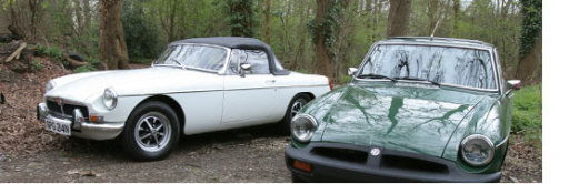 mg's in Woking