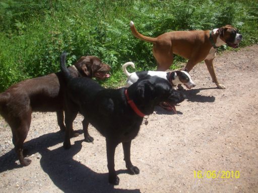 The boys are out for fun