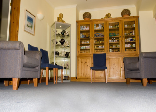 Welcoming and Relaxing Waiting Room