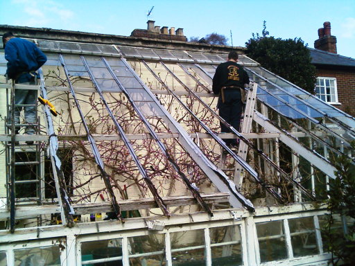 Greenhouse wooden Refurbishment