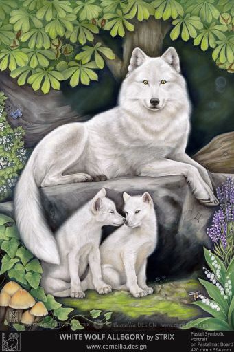 WHITE WOLF ALLEGORY by STRIX